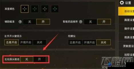 荒野行动游戏攻略，详细解析如何调整与设置左右探头射击功能