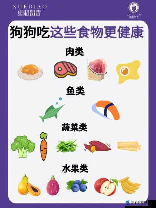 迷你世界狗狗繁殖指南，了解狗狗繁殖所需食物及步骤详解